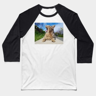 Morning cat Baseball T-Shirt